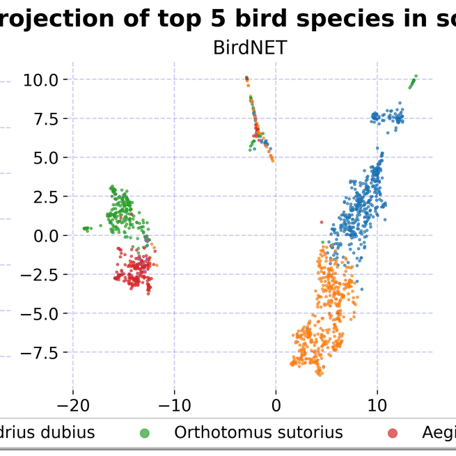 Transfer Learning with Pseudo Multi-Label Birdcall Classification for DS@GT BirdCLEF 2024