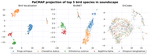 Transfer Learning with Pseudo Multi-Label Birdcall Classification for DS@GT BirdCLEF 2024