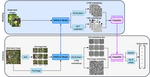 Multi-Label Plant Species Classification with Self-Supervised Vision Transformers